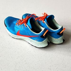 Nike Pegasus Trail 3